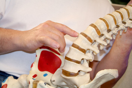 Chiropractor showing spine