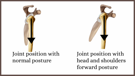 The effect of posture on shoulder joint position