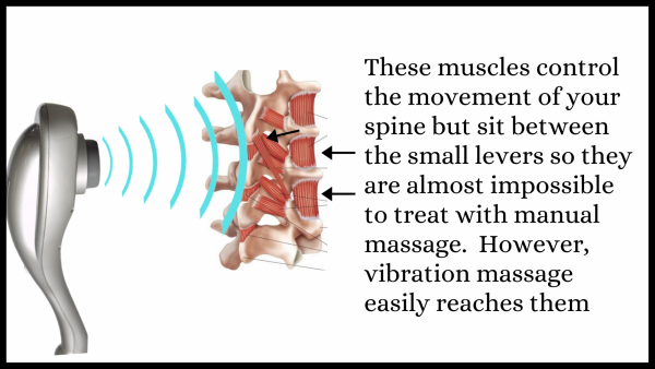 Vibration massage used on intrinsic muscles of the spine