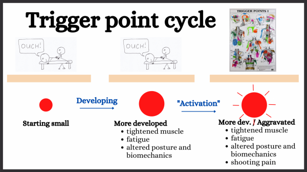 Trigger point development cycle