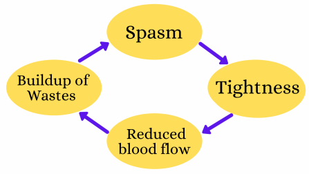 Trigger point cycle