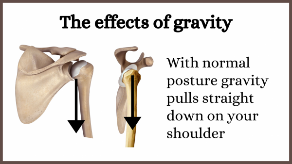 Gravity and shoulder control