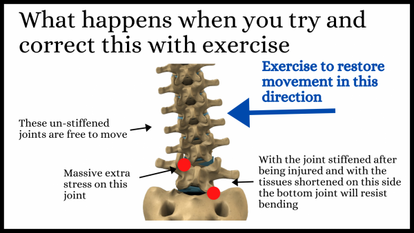 Effects of exercise on a dysfunctional spine
