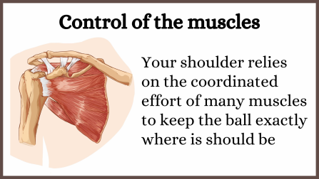 Shoulder joint muscle control